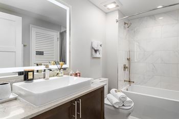 a bathroom with a sink and a shower and a mirror